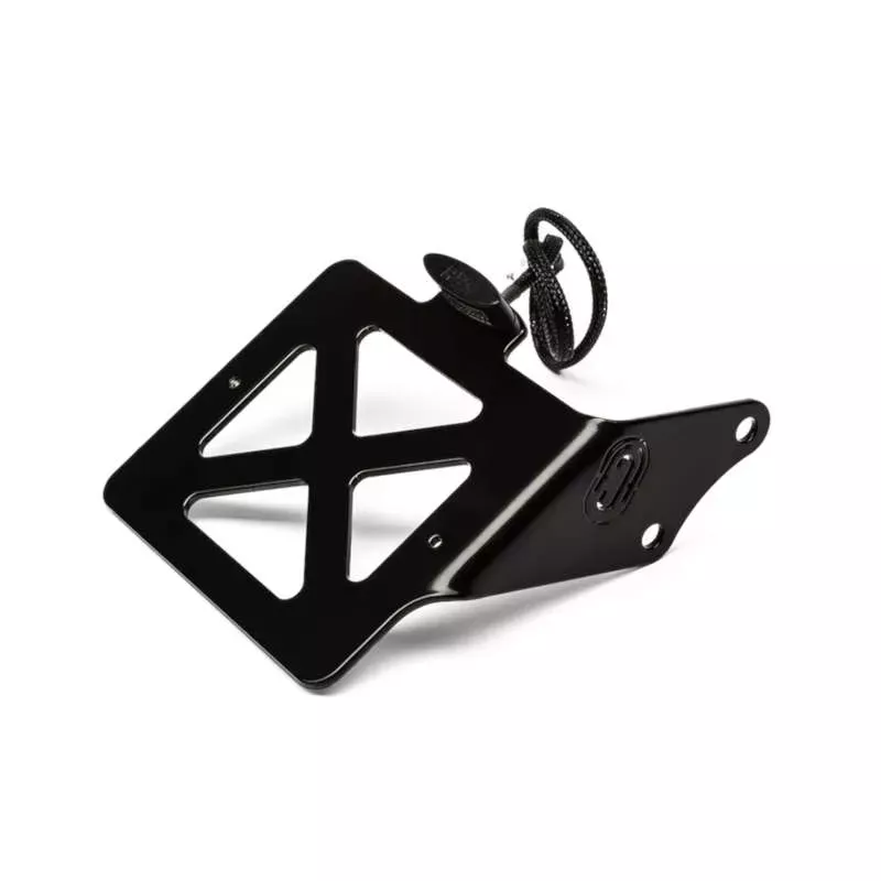 FCR Accessoires Side License Plate Holder BMW R 18 picture 1