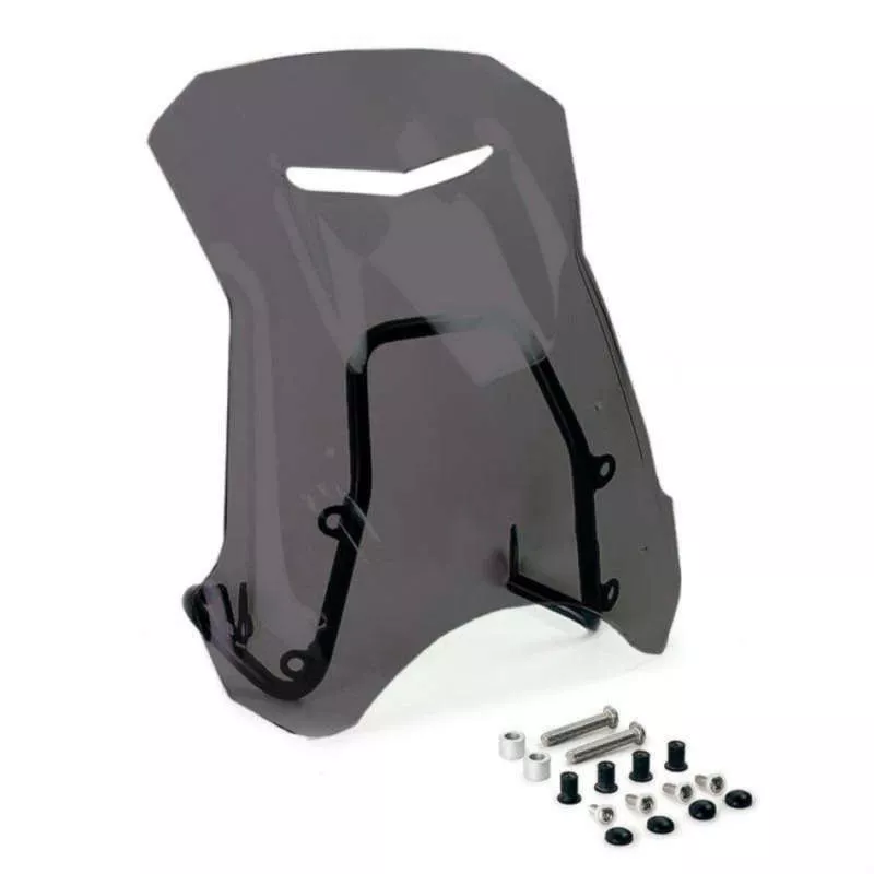 Pare-brise et support GPS Unit Garage BMW R 12 & R12 NineT - fumé