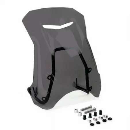 Pare-brise et support GPS Unit Garage BMW R 12 & R12 NineT - fumé