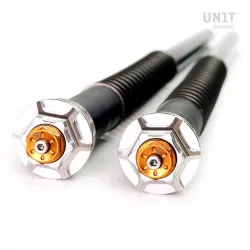 Cartouche de fourche Öhlins BMW R 12 & R12 NineT - standard