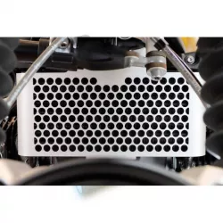 Grille de radiateur Unit Garage BMW R NineT - argent