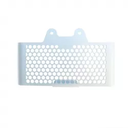 Grille de radiateur Unit Garage BMW R NineT - argent