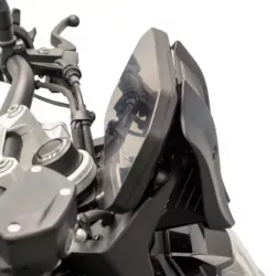 Windscreen Evotech Performance BMW F 900 R (2025+) picture 3