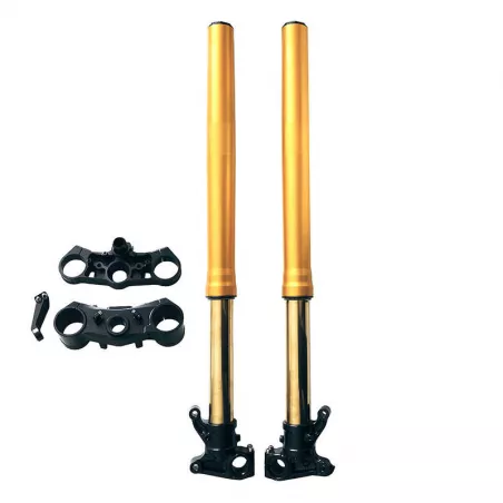 Fourche Öhlins FGAG2512 BMW R 12 GS - or