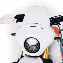 Saute-vent Fenouil Unit Garage BMW R 12 GS - aragonite