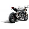 Evotech Performance plate bracket Triumph Speed Triple 1200 RX (2025+)