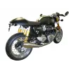 Support de plaque Access Design Triumph Thruxton 1200 R