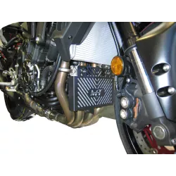 Grille de radiateur Access Design Yamaha MT10