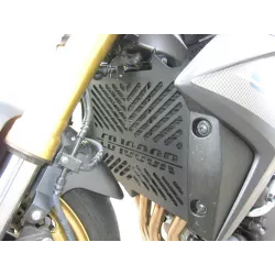 Grille de radiateur Access Design Honda CB-1000R