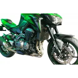 Grille de radiateur Access Design Kawasaki Z900