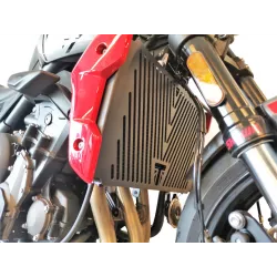 Grille de radiateur Access Design Triumph Trident 660