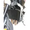 Grille de radiateur Access Design Honda CB-1000R
