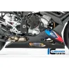 Sabot Moteur Ilmberger BMW M1000R / S1000R (2021+) - carbone image 2