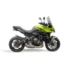 Support de plaque Evotech Performance Triumph Tiger Sport 660 (2026+) image 4