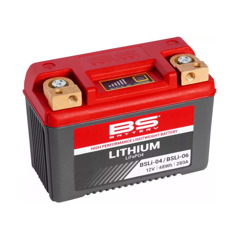BSLI-04/06 LiFePO4 lithium battery picture 1 BSLI-04/06 LiFePO4 lithium battery picture 1