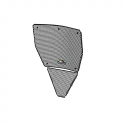 Grille de radiateur Evotech Performance Ducati Panigale V4 S image 1
