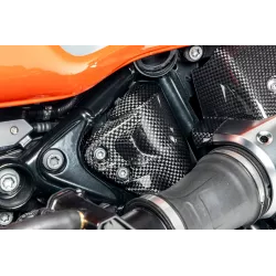 Cache de dégazage de réservoir Ilmberger BMW R 12 NineT - carbone image 1