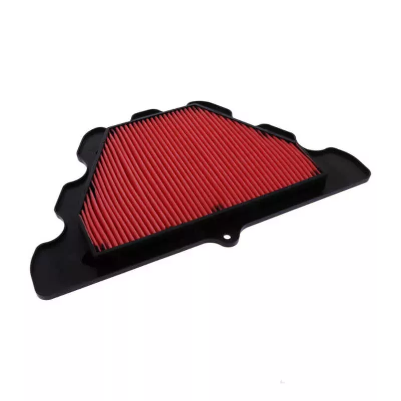 Air filter Hiflofiltro HFA2924 picture 1
