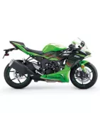 Kawasaki ZX-6